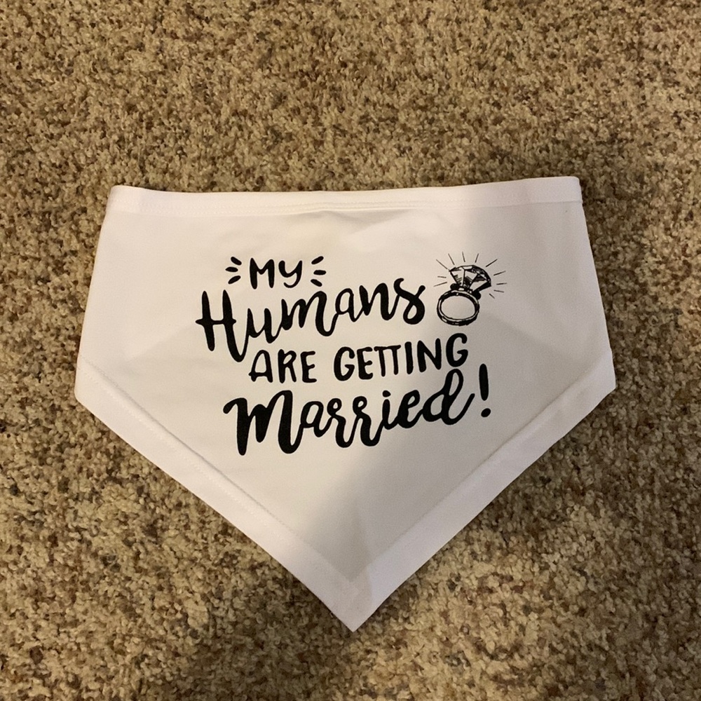 Dog bandana